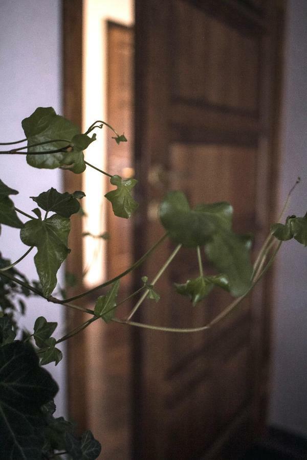 Ventspils Centra Apartamenti Экстерьер фото